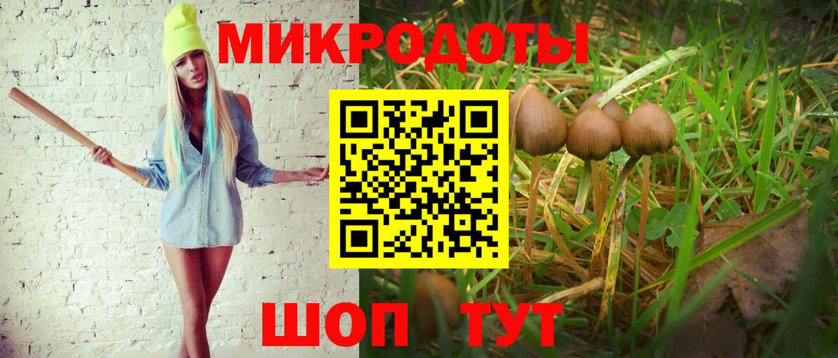 Псилоцибиновые грибы Cubensis Гуково